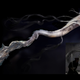 Illustration for article titled The creature design in em47 Ronin/em was just mind-blowingly good